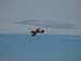 image072